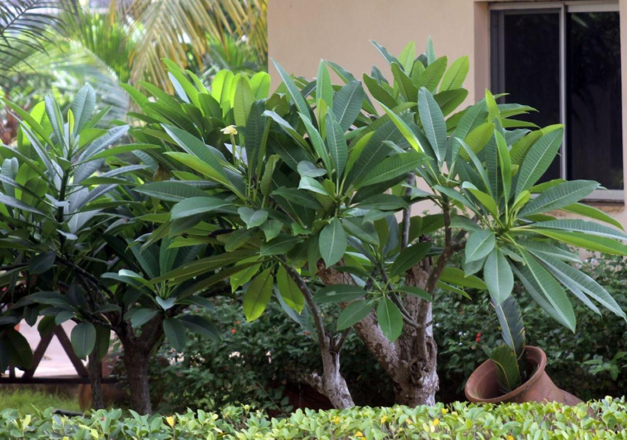 Cocobeach-Hotel Lome Bagian luar foto